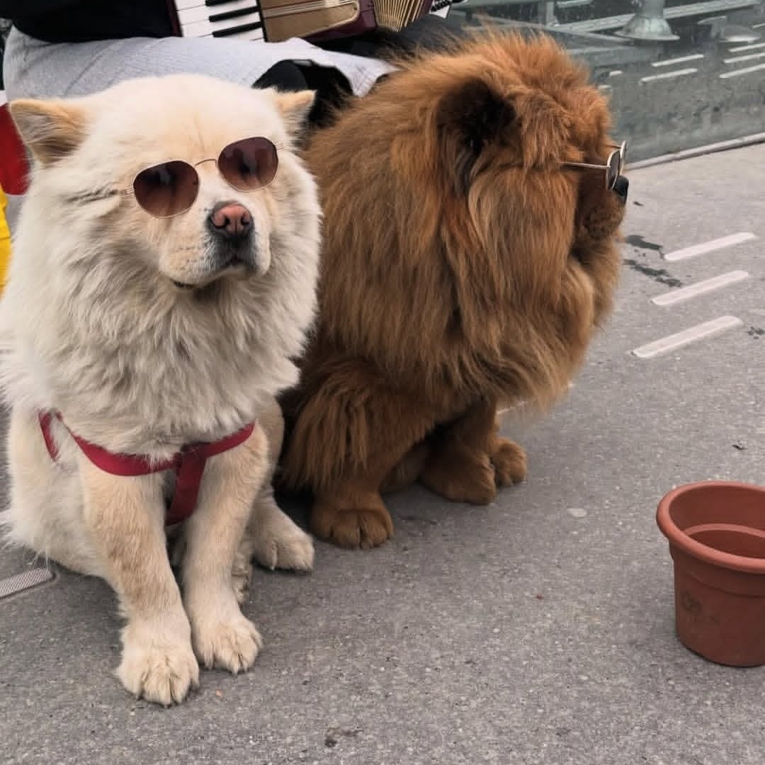 Screenshot_20260103_170232_com.instagram.android_edit_112269187478701